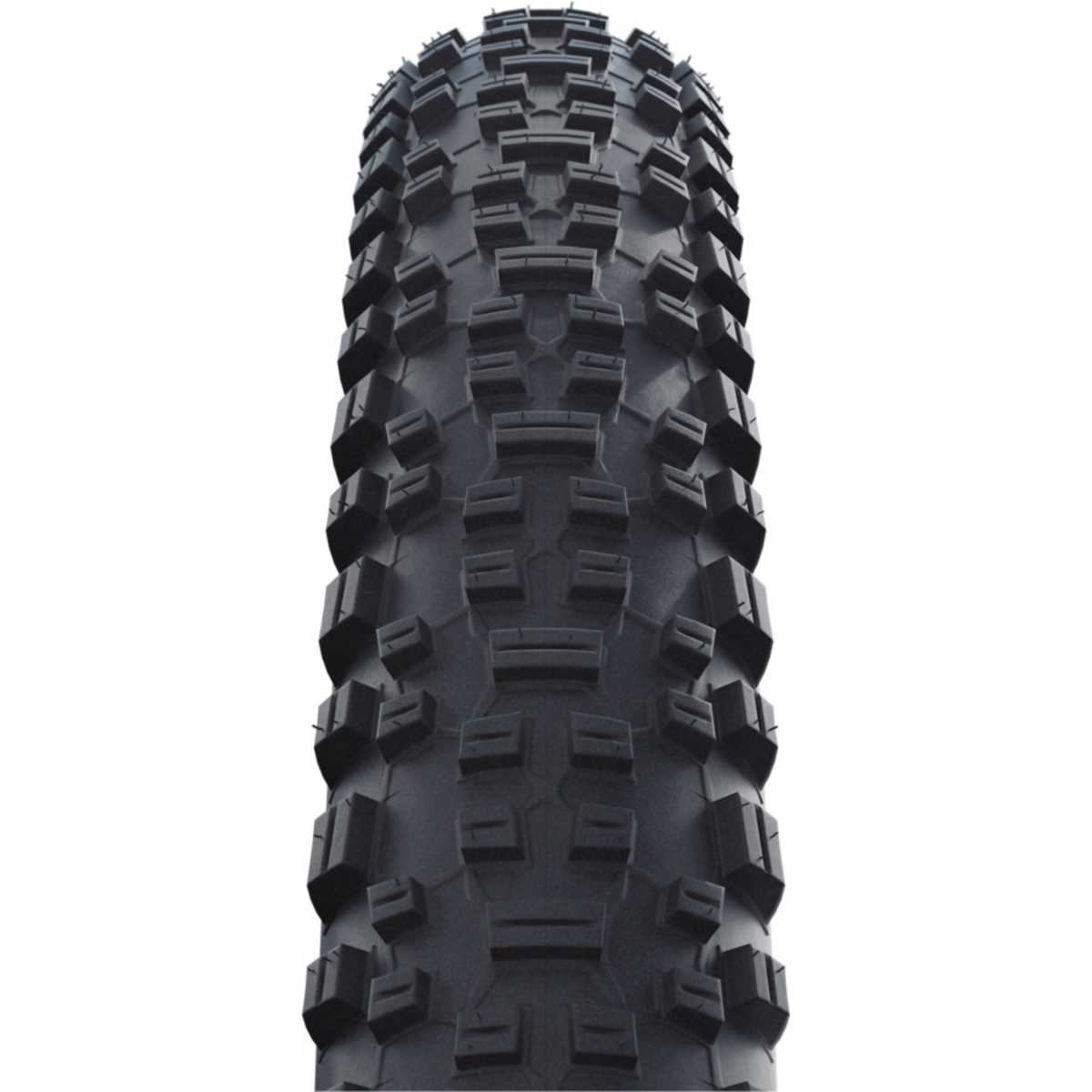Rapid Rob | Active Line | K-Guard