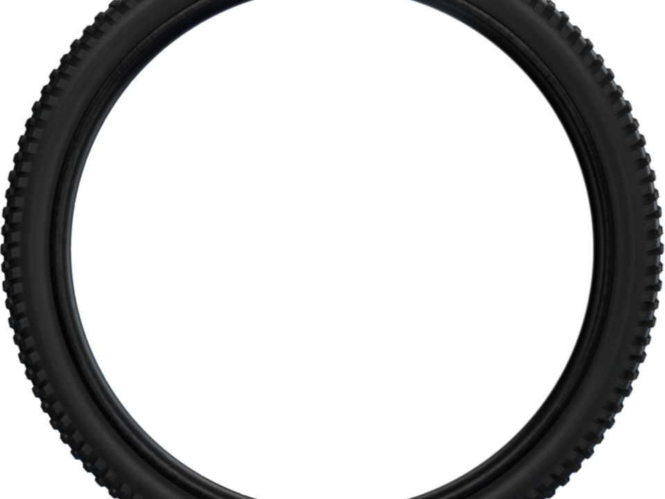 Schwalbe Wicked Will | Performance Line | Performance Black – Detail 2