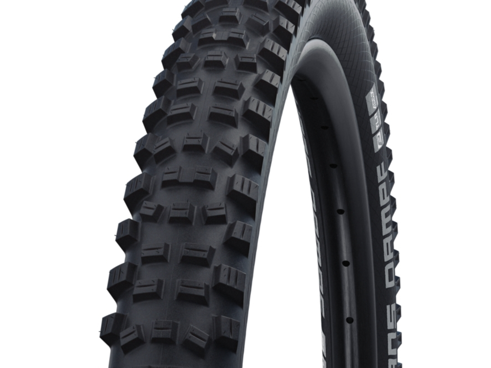 Schwalbe Hans Dampf | Evolution Line | Super Trail Black – Detail 2