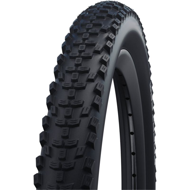 Schwalbe Smart Sam | Performance Line | Performance Black