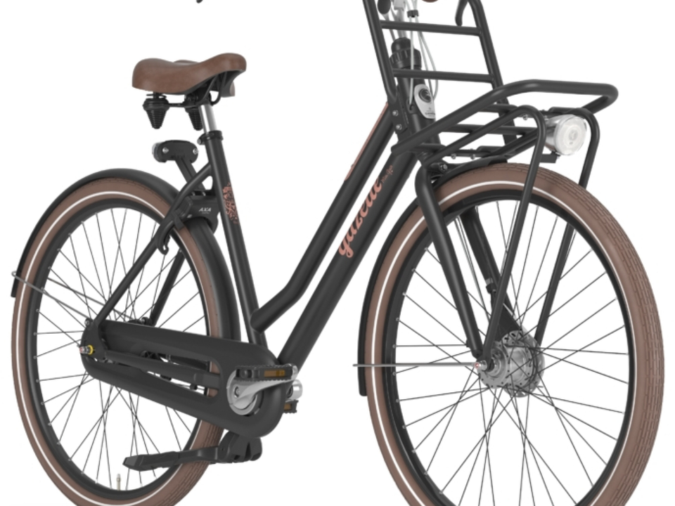 Gazelle Miss Grace blackmatte – Detail 1