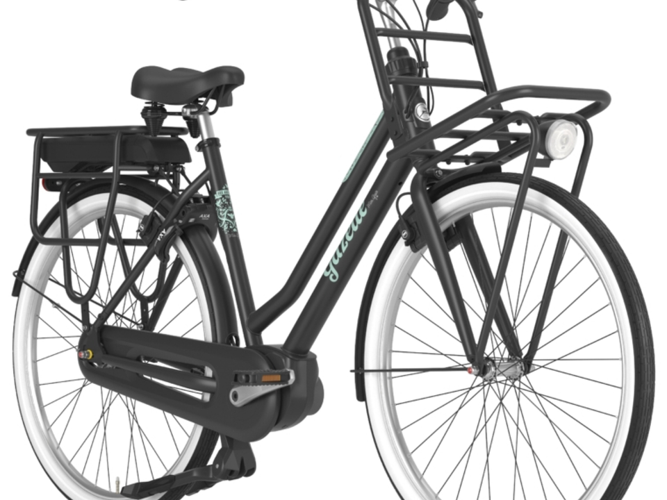 Gazelle Miss Grace C7+ HMB blackmatte – Detail 1