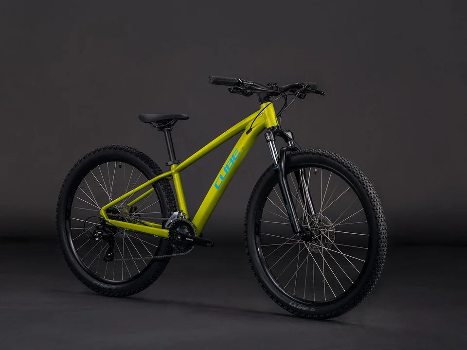 Cube Acid 260 Disc lizard´n´blue – Ansicht 1